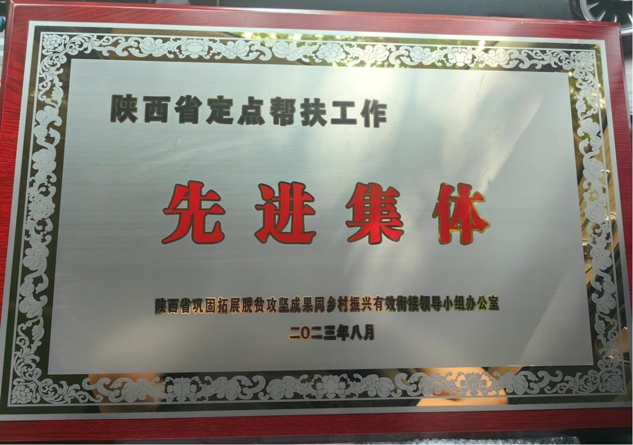 圖片3