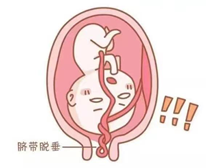 微信圖片_20230224102051