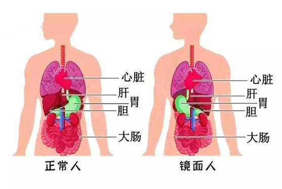 圖片2