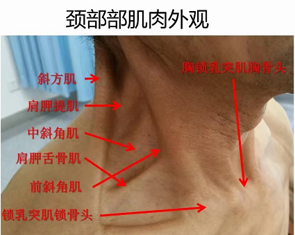 微信截圖_20220715164340